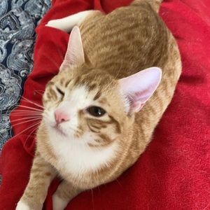 Meet your Posher, Kendra